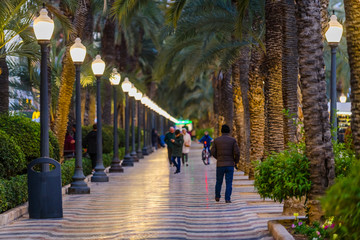 Fototapeta na wymiar Esplanada Boulevard in the city of Alicante. Alicante province. Spain