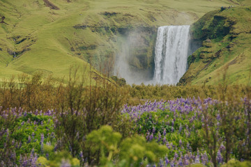 waterfall in the forest, Skogafoss Iceland