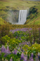 waterfall in the mountains, Vertical photo of Skogafoss in Iceland