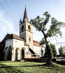 Fototapeta premium fir trees in the courtyard of the Christian church