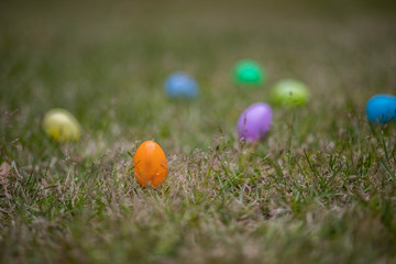 easter eggs in the grass