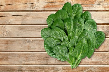 Fototapeta premium Spinach.