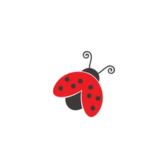 Fotobehang ladybug vector icon illustration design © sangidan