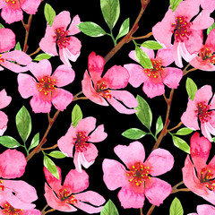Watercolor cherry blossom flower seamless pattern. Sakura beautiful spring floral template. Colorful illustration on black background. Perfectly for wallpaper, print, fabric