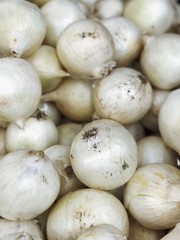 white onions harvest from field in the supermarket