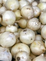 white onions harvest from field in the supermarket