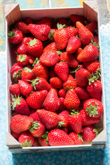 Box tray of fresh strawberries