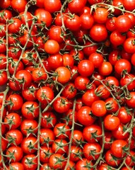 red tomatoes harvest for food patterns
