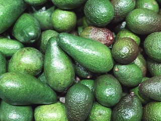 Avocado harvest close up