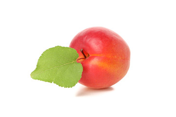Fresh tasty apricot isolated on white background