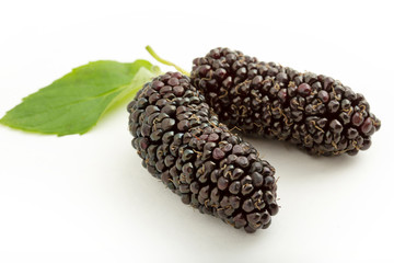 fresh and ripe mulberries background