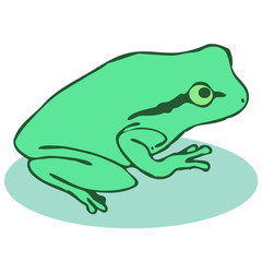 横から見た緑のカエル