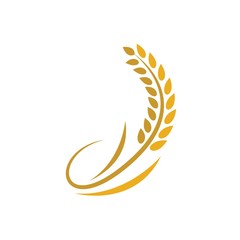 Wheat logo vector icon