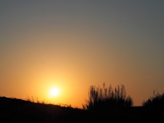 Fototapeta na wymiar 沈む太陽と夕日に映し出される木々のシルエット
