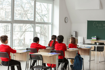 Cute little pupils during lesson at school