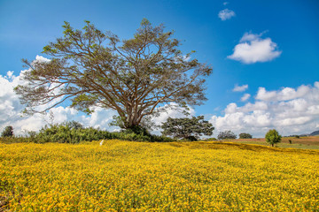 Fields in the central highlands of Myanmar northwest of Inle Lake, near Pindaya