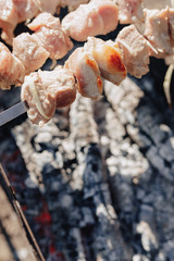 barbecue on the grill in nature. cooking on fire. fried meat and food.
