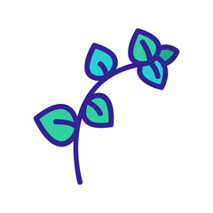 leaf of spicy oregano herb icon vector. leaf of spicy oregano herb sign. color symbol illustration