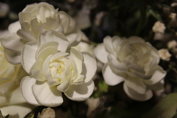 white flower