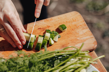 girl slices vegetables on the board and prepares a salad on the nature. sunny day and cooking....