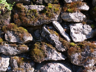 Old stone wall with moss