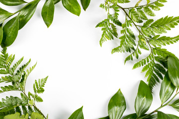 Green frame with branches and leaves on white background. Flat lay, top view, copyspace. Nature...