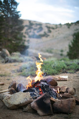 campfire in the forest