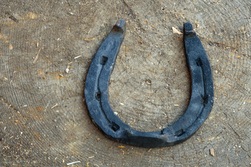 An old horseshoe is lying on a wooden block