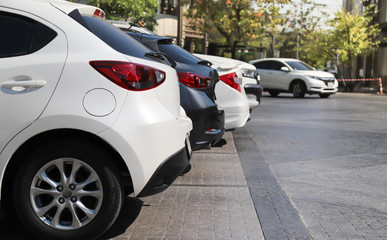 Closeup of rear, back side of white car with  other cars parking in outdoor parking area with natural background in sunny day. 