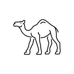 Black line icon for camel