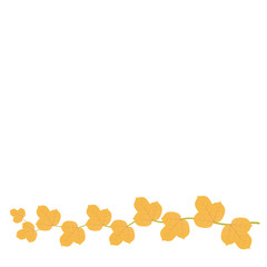 Golden Yellow Ivy Leaves vector isolated on white background for a border.