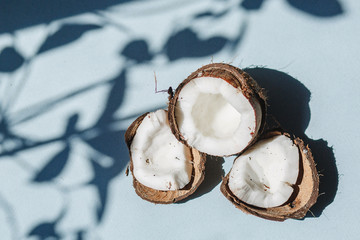Half a coconut and pieces of coconut on a blue background.