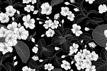 Nahtloses Blumenmuster der Weinlese mit japanischer Kirsche. Schwarz und weiß. © marinavorona