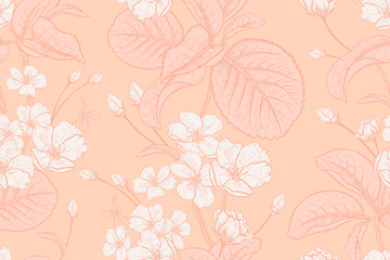 Floral vintage seamless pattern with Japanese cherry. Color of peach gelato.