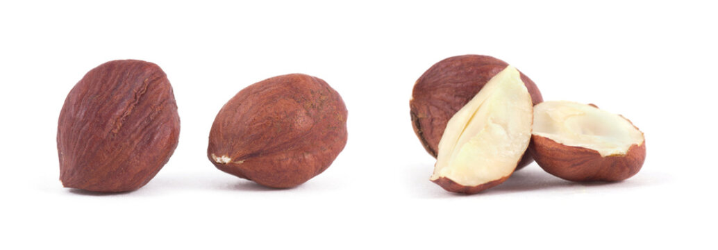 Hazel nut isolated on white background