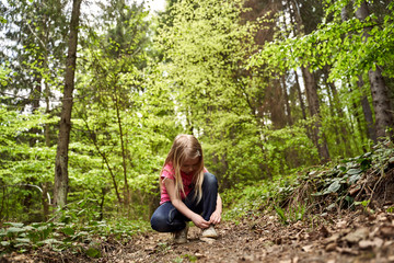 on the nature of the mountain forest rocks waterfall
