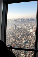 Fototapeta na wymiar Tokyo by the sky