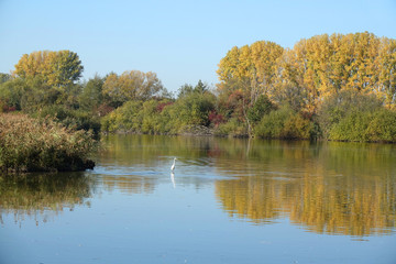 Reinheimer Teich