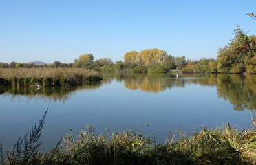 Fototapeta na wymiar Reinheimer Teich