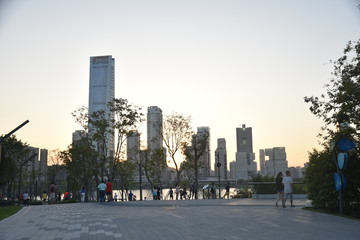 Shenzhen Streets and Buildings