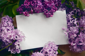 Decorative lilac flowers and piece of paper for leaving a note. Spring or floral background.