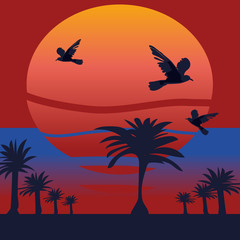 Tropical beach at sunset,birds are flying, romantic landscape