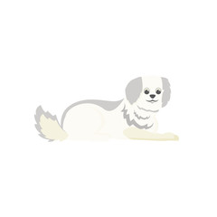 White terrier flat color vector character. Domestic animal for adoption. Pet sitting and daycare. Dog beauty salon. Cute puppy isolated cartoon illustration for web graphic design and animation