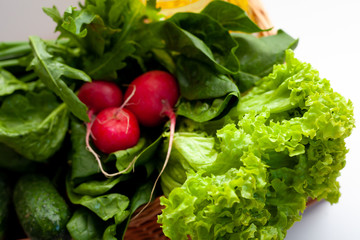 Lollo Bionda Lettuce. Delivery of products. A set of greens for salad. Chives, lettuce, cucumbers, radishes, spinach, arugula. Isolated on a white background with place for text.