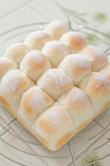 自宅でパン作り　ちぎりパン　網の上で焼きたてのちぎりパンを冷ます様子