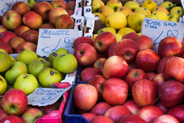 baskets of colored fruit displayed on the market