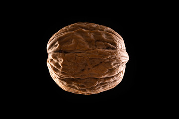 Whole walnut on black background. Ripe walnut with shell hanging in the air. Studio shoot.