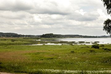 View on water meadow field. Lake on a grass field.