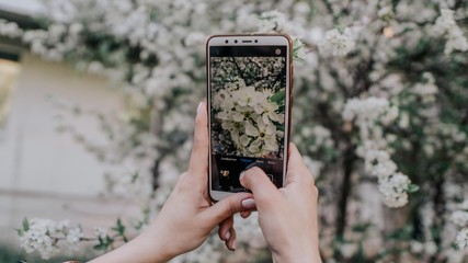 mobile phone in the park