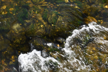 Obraz na płótnie Canvas eau riviere ecologie environnement 